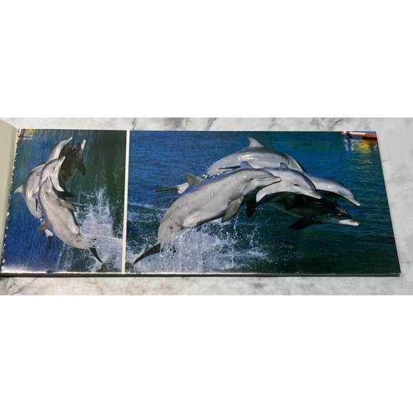 Sea World Postcard Mini Photos Booklet Vintage 70s San Diego CA 7 Postcards - Picture 6 of 12